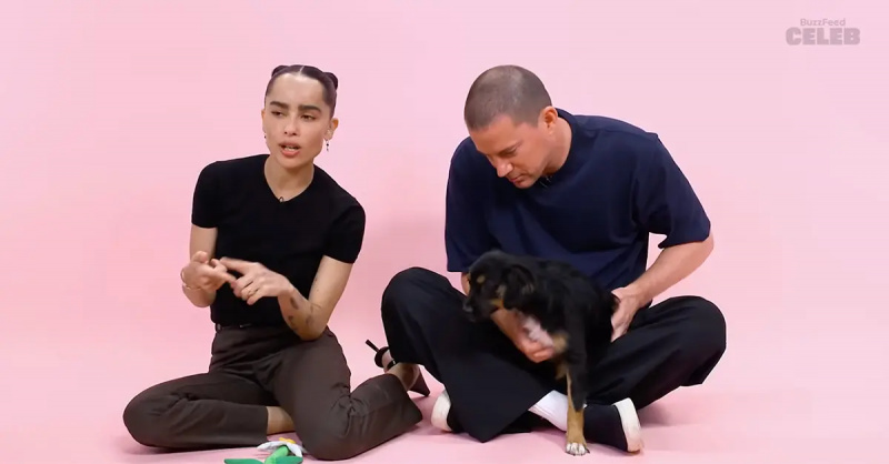 Channing Tatum a Zoe Kravitz počas rozhovoru so šteniatkami BuzzFeed.