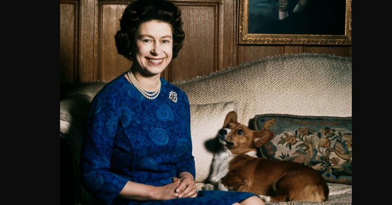 Ölümünün Işığında Kraliçe II. Elizabeth'in Sevgili Corgis'ine Kim Bakacak?