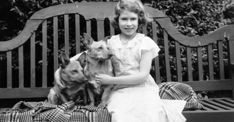 Kraliçe II. Elizabeth, kraliçe olmadan önce bile kendini adamış bir köpek aşığıydı.