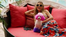   Frederic Marq, Alter von Frederic Marq, Ehefrau von Frederic Marq, Vermögen von Frederic Marq, jetzt Frederic Marq, Gesundheit von Frederic Marq, Adriana de Moura und Frederic Marq, Freunde Ariana Grande, sind Adriana und Frederic aus Rhom, immer noch zusammen 2, sind Adriana und Frederic aus Rhom immer noch zusammen 2026, sind Adriana und Frederic aus Rhom immer noch zusammen 2023, sind Adriana und Frederic aus Rhom immer noch zusammen 2020, sind Adriana und Frederic aus Rhom immer noch zusammen 2029