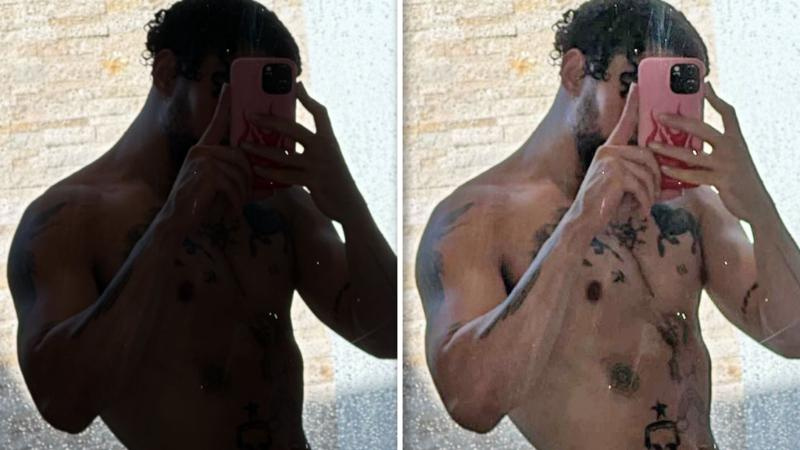 اتصال باد باني بوش: حقيقة أم خيال؟