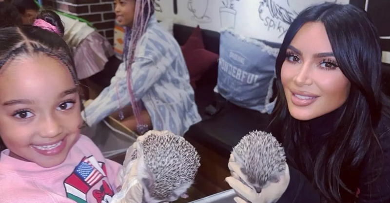 Chicago West 和 Kim Kardashian 抱着小刺猬。