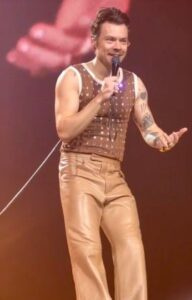  Harry Styles keskeyttää Cardiffin show'n raskaana oleville faneille, jotta he voivat käyttää pesuhuonetta
