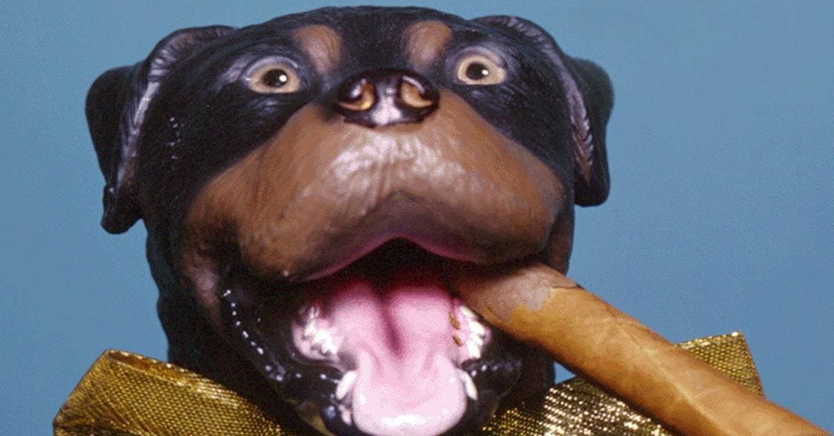 Iată ce trebuie să știți despre Robert Smigel, Omul din spatele triumfului insultului Comic Dog