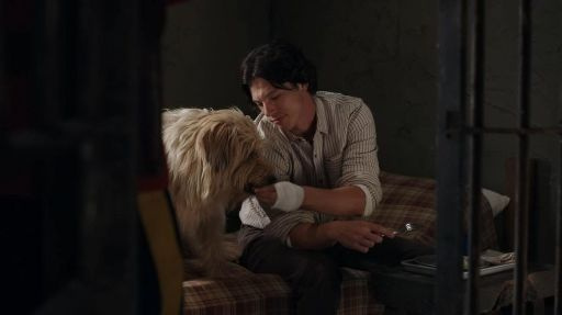 แฮร์รี่ใน When Calls the Heart: เปิดตัวตัวละครและนักแสดง