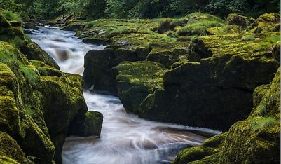   quel est le film le plus effrayant au monde,top 10 des choses les plus effrayantes au monde,chose la plus effrayante de l'univers,quelle est la chose la plus effrayante pour les humains,chose la plus effrayante jamais vue sur Internet,top 5 des choses les plus effrayantes au monde,top 20 des choses les plus effrayantes dans le monde, les choses les plus effrayantes du monde, les choses les plus effrayantes du monde, des images des choses les plus effrayantes du monde, les choses les plus effrayantes du monde, les choses les plus effrayantes du modèle de mème du monde, les choses les plus effrayantes du monde aujourd'hui, des images des choses les plus effrayantes au monde,quelles sont certaines des choses les plus effrayantes au monde,les cinq choses les plus effrayantes au monde,comment dessiner les choses les plus effrayantes au monde,dix choses les plus effrayantes au monde,liste des choses les plus effrayantes au monde le monde