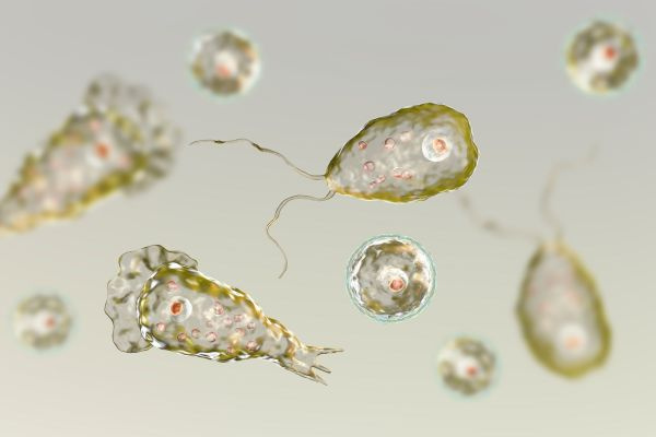   quel est le film le plus effrayant au monde,top 10 des choses les plus effrayantes au monde,chose la plus effrayante de l'univers,quelle est la chose la plus effrayante pour les humains,chose la plus effrayante jamais vue sur Internet,top 5 des choses les plus effrayantes au monde,top 20 des choses les plus effrayantes dans le monde, les choses les plus effrayantes du monde, les choses les plus effrayantes du monde, des images des choses les plus effrayantes du monde, les choses les plus effrayantes du monde, les choses les plus effrayantes du modèle de mème du monde, les choses les plus effrayantes du monde aujourd'hui, des images des choses les plus effrayantes au monde,quelles sont certaines des choses les plus effrayantes au monde,les cinq choses les plus effrayantes au monde,comment dessiner les choses les plus effrayantes au monde,dix choses les plus effrayantes au monde,liste des choses les plus effrayantes au monde le monde
