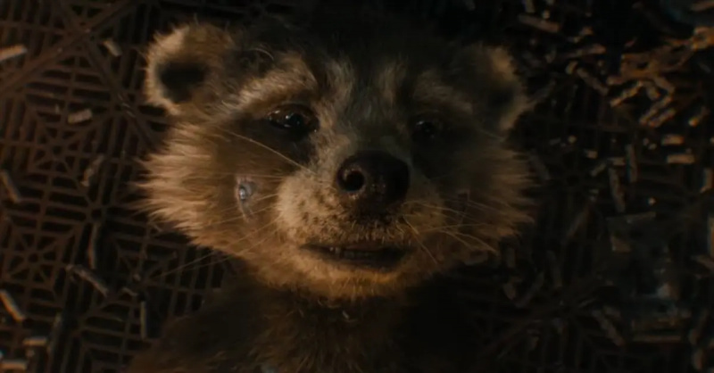 Rocket Raccoon in'GotG Vol. 3'