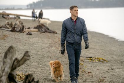   films de chiens comme Puppy Love vous devez voir Netflix, meilleurs films de chiens comme Puppy Love vous devez voir, films de chiens comme Puppy Love vous devez voir 2020, films d'amour de chien, films de chiens comme Puppy Love vous devez voir ****, films de chiens doivent montre