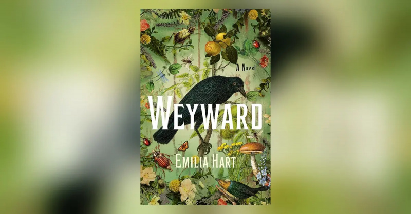 'Weyward'