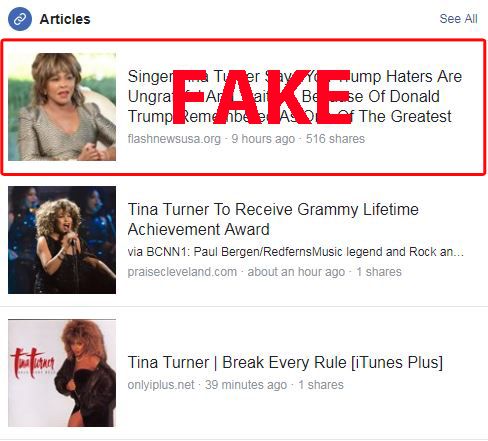 Tina Turner a FB