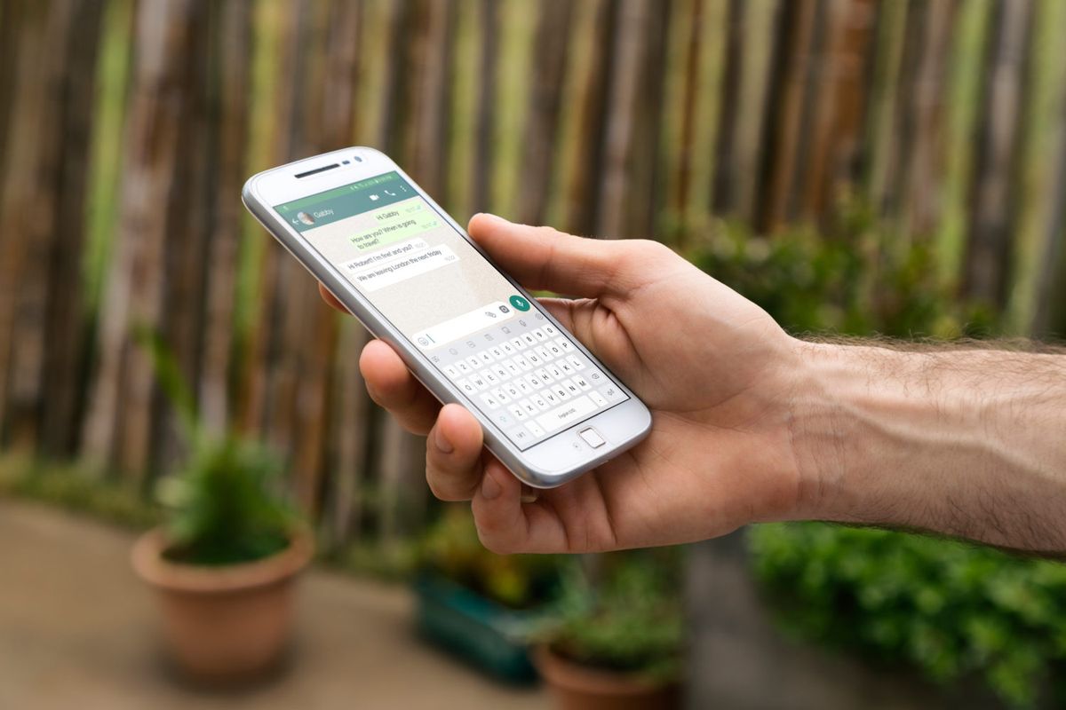 Power in der Tasche: So nutzen Sie den neuen WhatsApp-Chatbot des IFCN