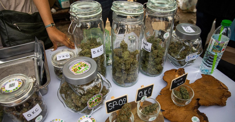 Green Wednesday is the Pre-Holiday Celebration Stoners Don’t Know They Needed