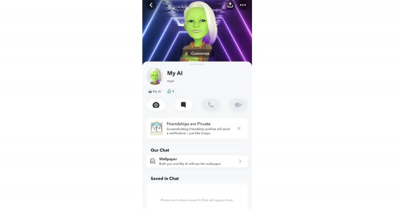 snapchat venskabsprofil