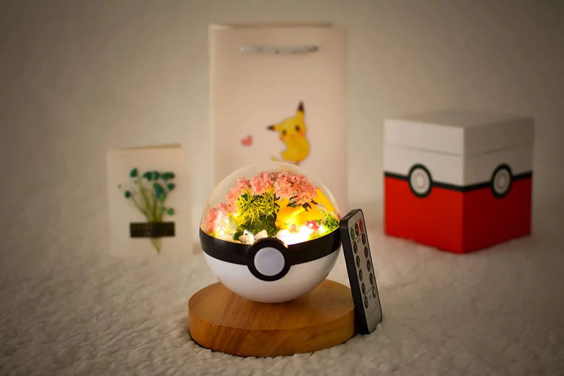 Pokémon ışıklı teraryum