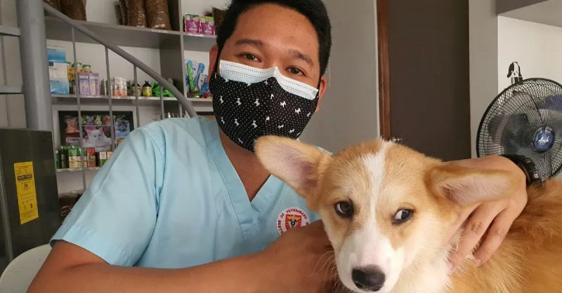 卡洛·托托克兽医