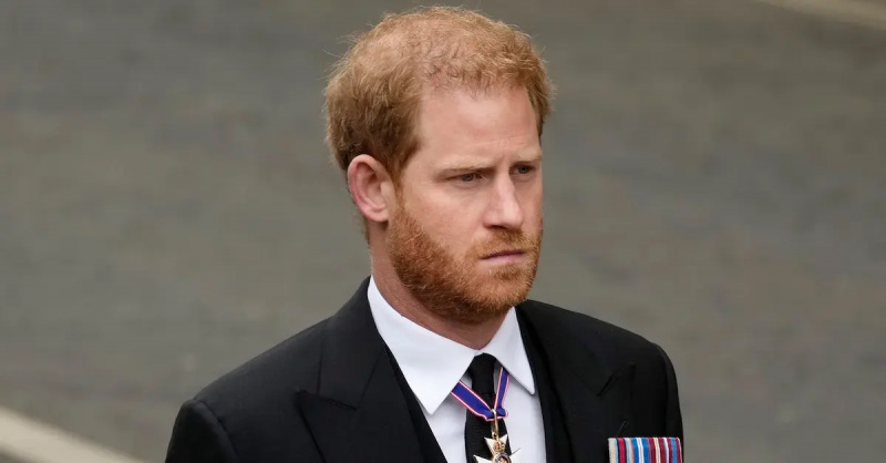 Harry herceg