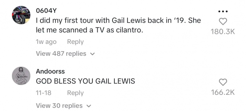 комментарии к Гейл Льюис's tiktok reading "I did my first tour with Gail Lewis back in '19. She let me scanned a TV as cilantro" and "GOD BLESS YOU GAIL LEWIS"
