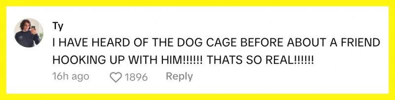 TikToker @mangomartian apgalvoja, ka viņu draugs's also hooked up with Vinny and noticed the dog cage kink.