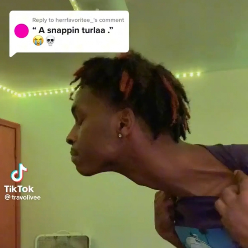 Seznamte se s Fiesty 'Snappin' Turla', která převzala vaši časovou osu na TikTok