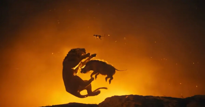  Mufasa