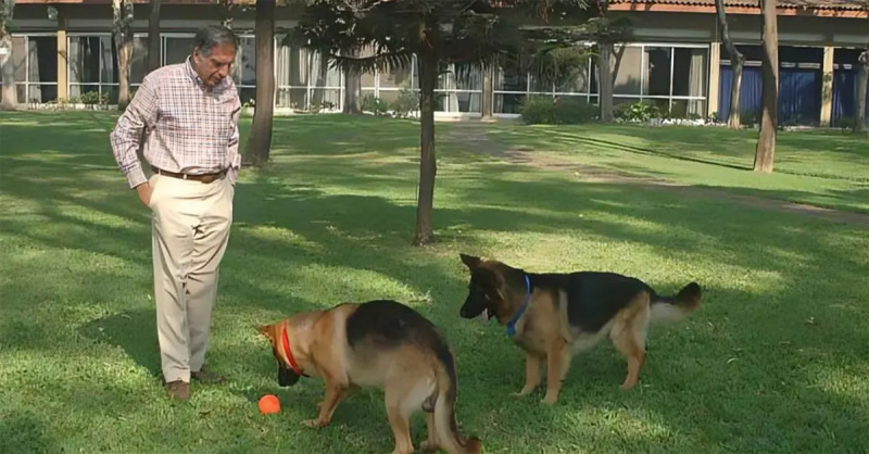 Ratan Tata dengan dua anjing gembala jerman.