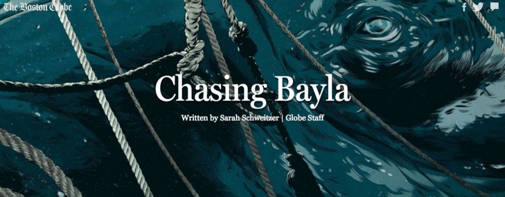 ChasingBayla