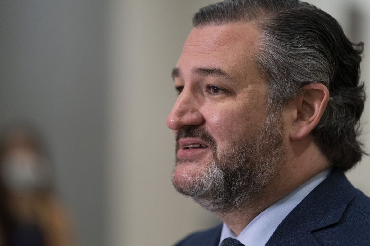 Wat dacht Ted Cruz?