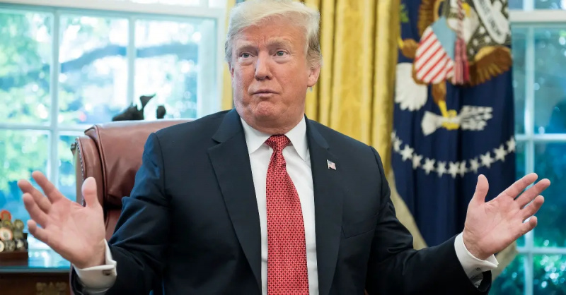 Избранный президент Дональд Трамп назвал Линду МакМэхон «ярым защитником прав родителей»