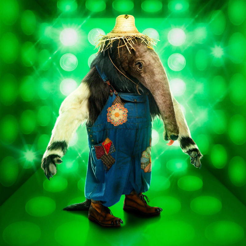 Who is Anteater Masked Singer Staffel 10