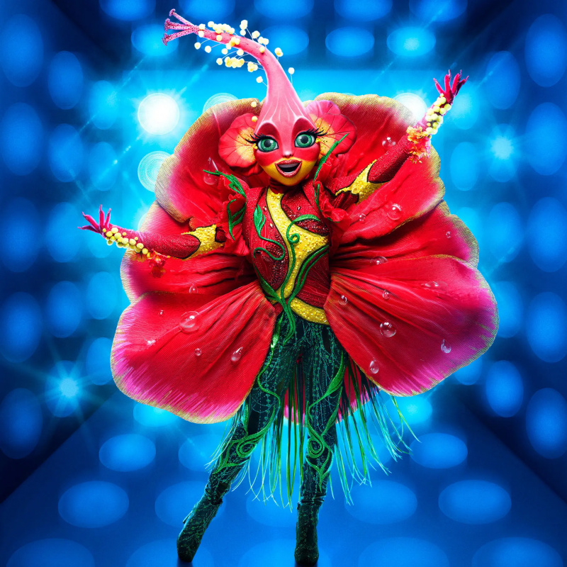 Wer ist Hibiscus Masked Singer Staffel 10?