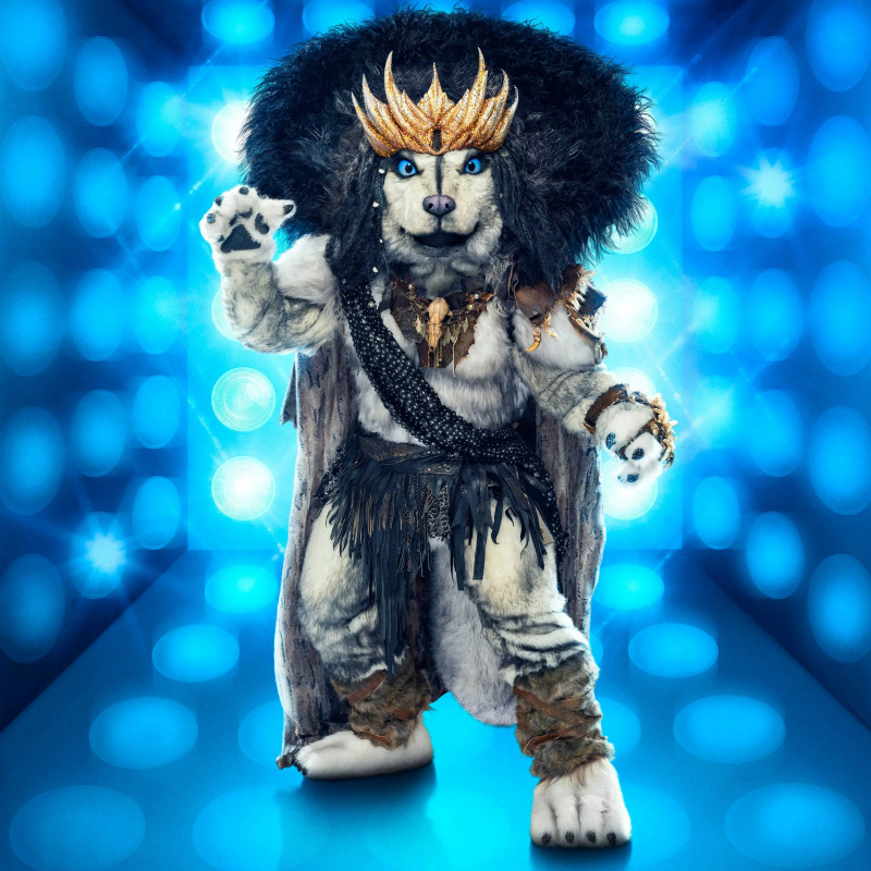 Who is Husky Masked Singer Staffel 10