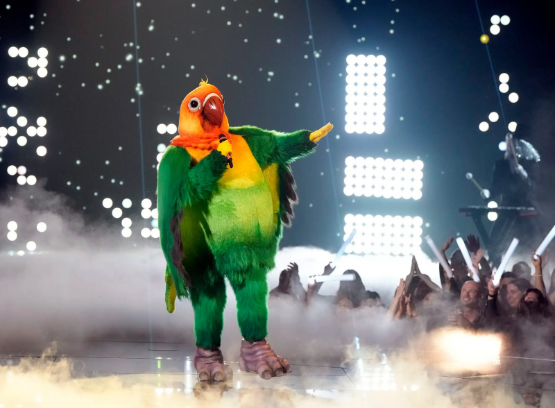 シーズン11中のラヴバード'The Masked Singer.'