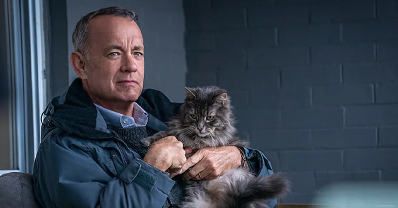 Den nye Tom Hanks-film, 'A Man Called Otto', er endelig ude - her kan du se