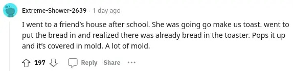 곰팡이 핀 빵에 대한 AskReddit 댓글