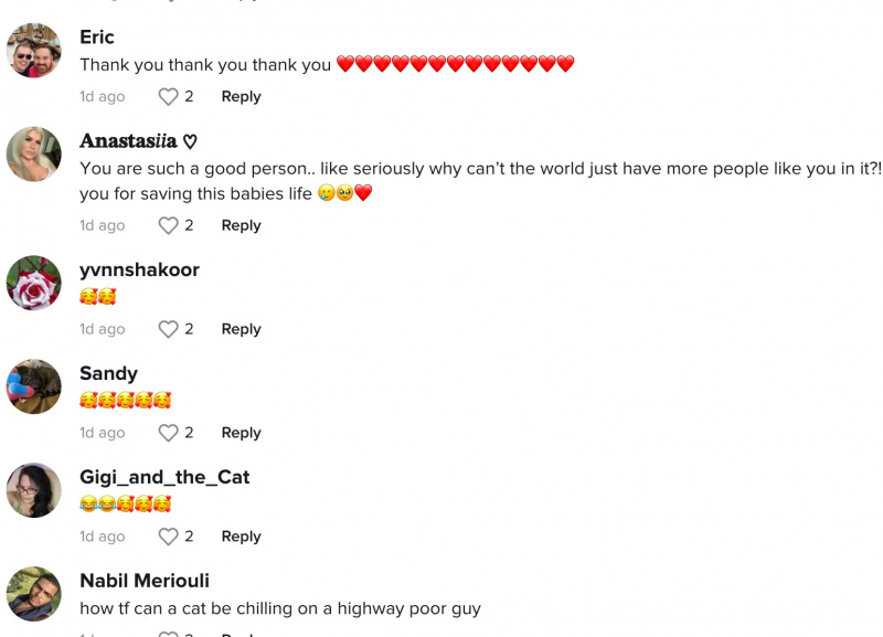 Commenti positivi che Marc ha ricevuto online per aver salvato il gattino in autostrada