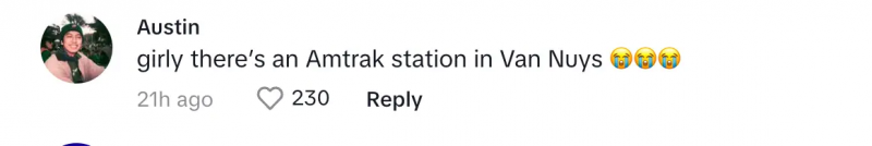 Un utilizator TikTok pe Ham's post about walking four hours to her job
