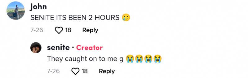 віддаленого працівника звільнили через tiktok