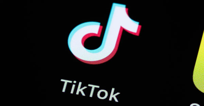 “Kitty” definitivamente tem dois significados distintos em um novo vídeo viral do TikTok