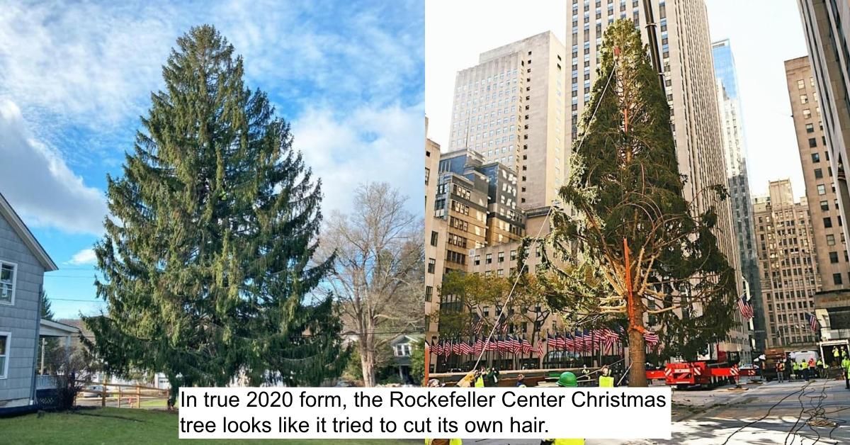 Oamenii prăjesc pomul de Crăciun la Rockefeller Center pentru a arăta neobișnuit și trist