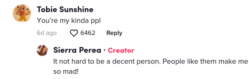 tiktoker prinde accidental dine și dash
