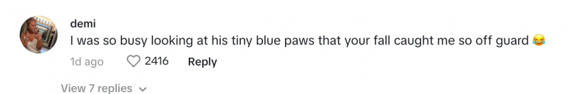 Ein TikToker auf Matt's post about spilling laundry and dog watching