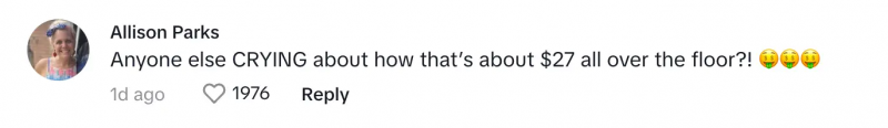 Ein TikToker auf Matt's post about cleaning up spilled laundry