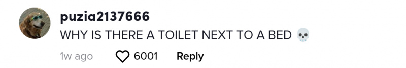 öppen toalett hem