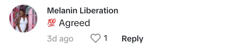 ジーナのTikTokユーザー's post about conversations black people aren't ready to have