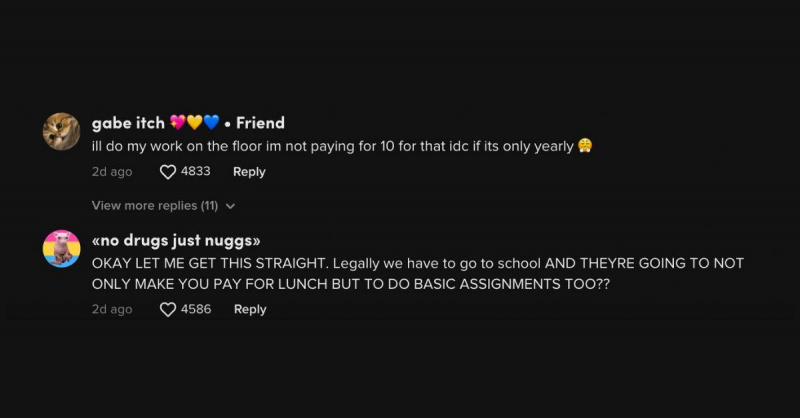 Commenti sulla tassa degli studenti