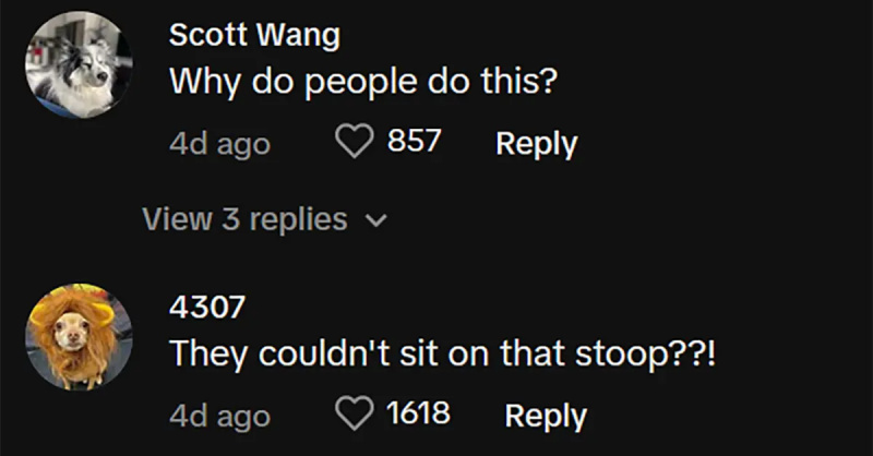 I commentatori possono't believe that people who eat off a stranger's car