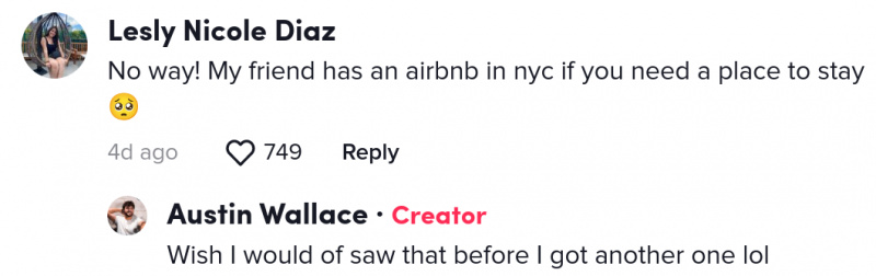 tiktoker airbnb nyc bluff
