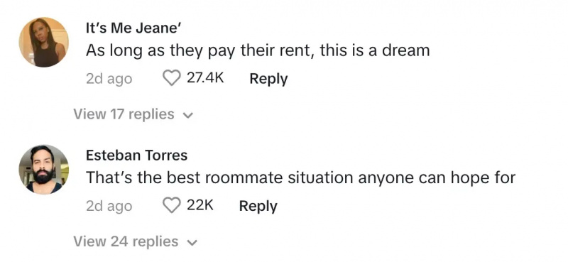 Kommentatorer säger att det's a dream situation as long as the roommates pay their rent