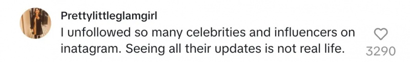 Um comentarista dizendo que ela deixou de seguir muitas celebridades e influenciadores no Instagram